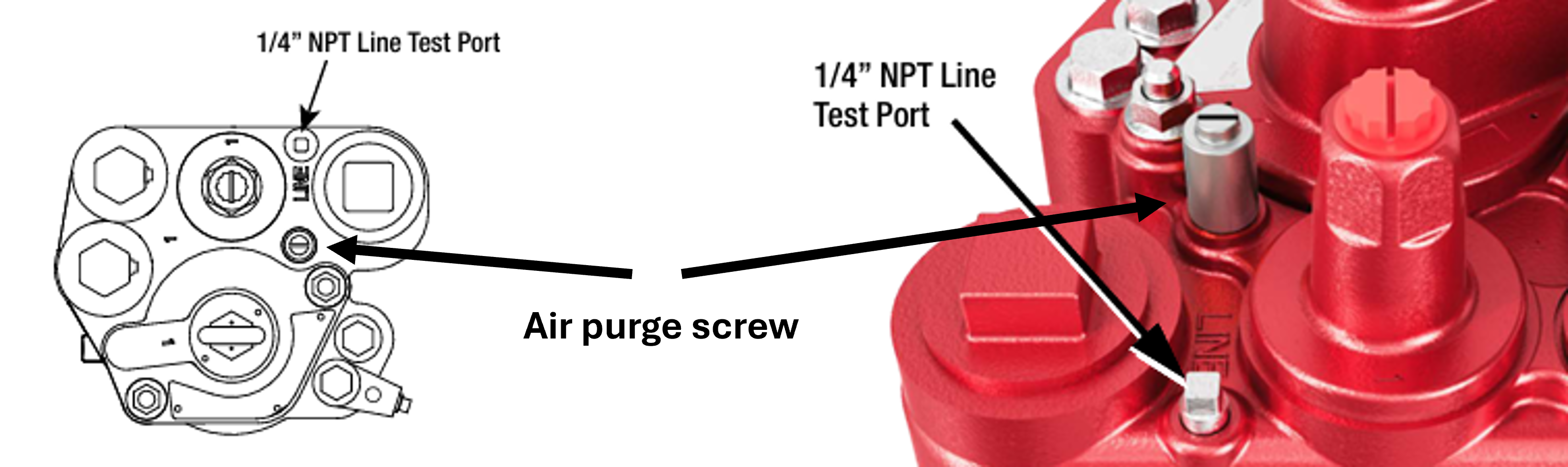 STP.png